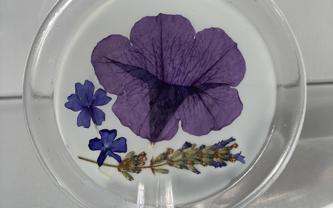 Untersetzer mit blauen getrockneten Blüten