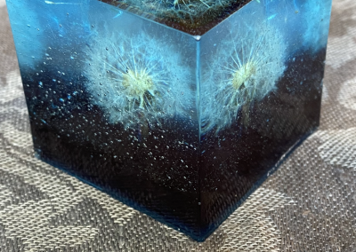 Briefbeschwerer Pusteblume